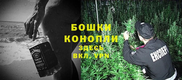 ПСИЛОЦИБИНОВЫЕ ГРИБЫ Козельск