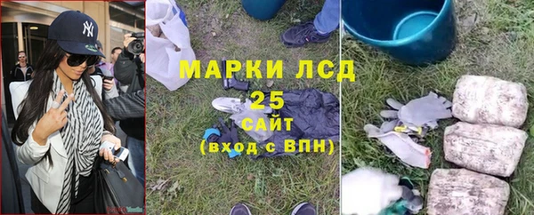 ПСИЛОЦИБИНОВЫЕ ГРИБЫ Козельск