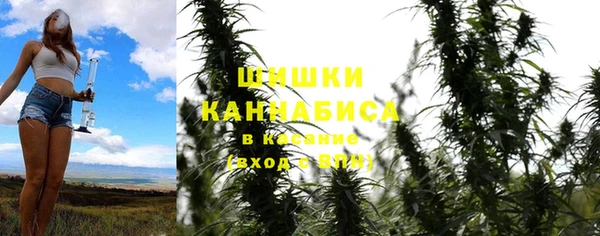 хмурый Кодинск