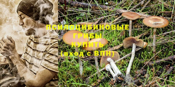 герыч Козловка