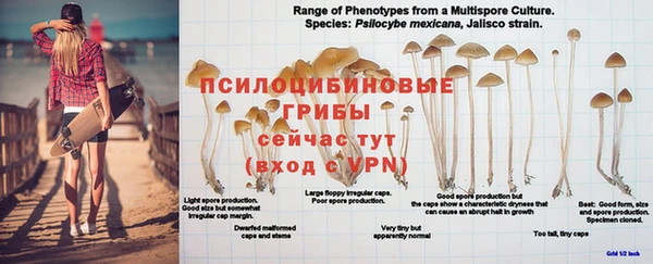 таблы Кинешма