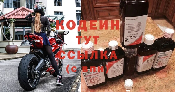 хмурый Кодинск